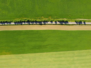 High angle view of soccer field