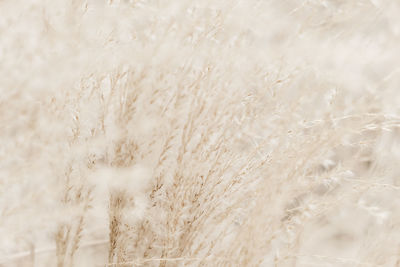 Full frame shot of sand