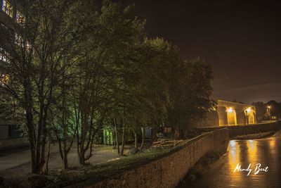 Trees by city against sky at night