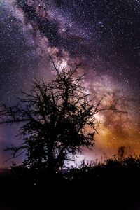 Low angle view of star field against star field