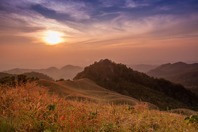 Scenic view of field against sky during sunset