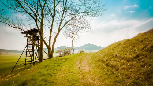 Bare trees on countryside landscape