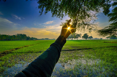 Close-up of hand against trees during sunset