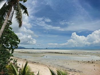 Scenic view of beach against sky