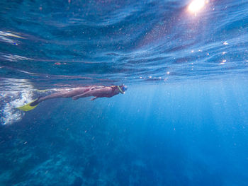 Close-up of swimming in sea