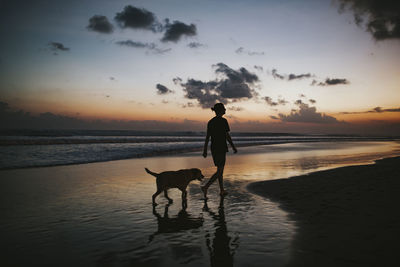 Photograph of a man walking his dog on the beach during the sunset.