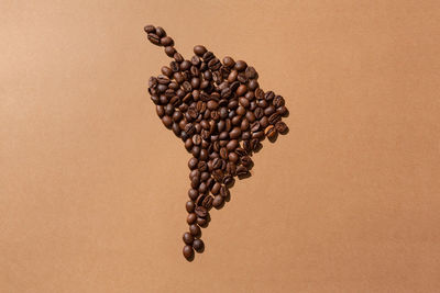 High angle view of coffee beans against gray background