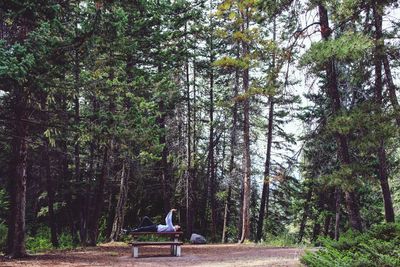 Side view of mid adult man lying on bench in forest