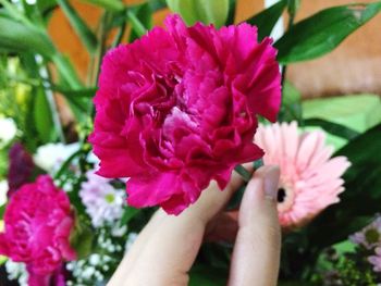 Close-up of hand holding flower