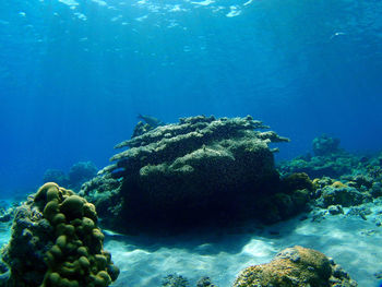 Rocks in sea