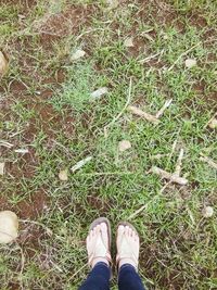 Low section of person standing on grassy field