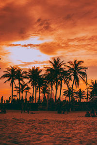 Silhouette palm trees on beach against orange sky