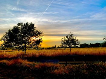 Scenic view of field against sky during sunset