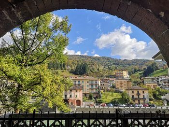 Trees and buildings in town against sky