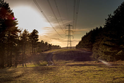 Trees by electricity pylon against sky during sunset