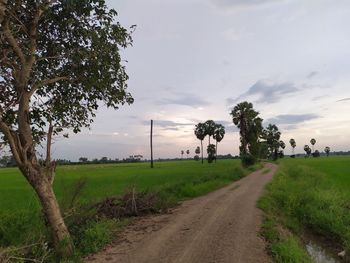 Dirt road amidst field against sky