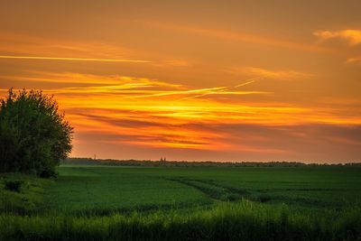 Scenic view of field against sky during sunset