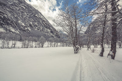 Snow covered road amidst trees against sky