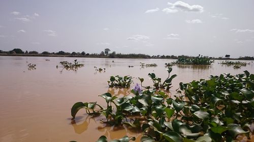 Scenic view of lake against sky