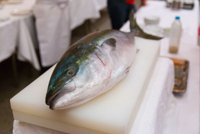 Fresh tuna fish on cutting board