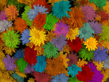 Full frame shot of multi colored flowering plants