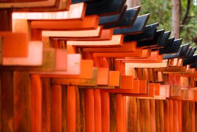 Japanese shrine, torii gates