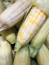 Close-up of vegetables