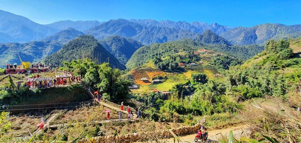 Plants growing on land against mountains
