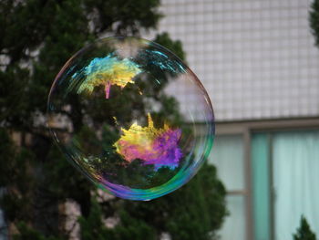 Close-up of bubbles in park