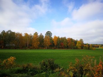 Scenic view of trees on field against sky
