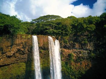 Scenic view of waterfall in forest