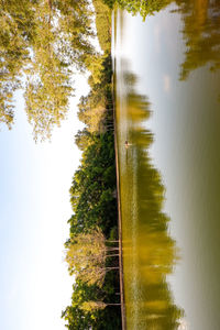 Reflection of trees in lake against sky