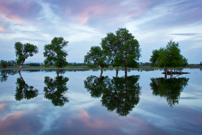 Reflection of trees in lake against sky