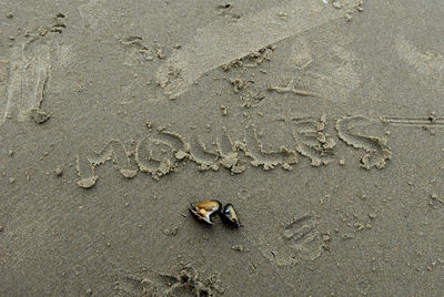 High angle view of footprints on sand at beach