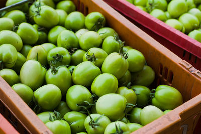 High angle view of green fruits in market