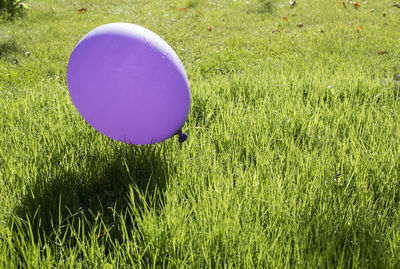 Ball on field