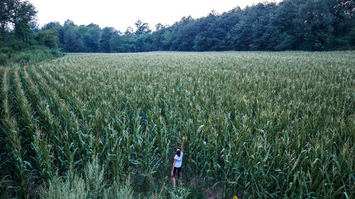 Woman reaching plants on agricultural field