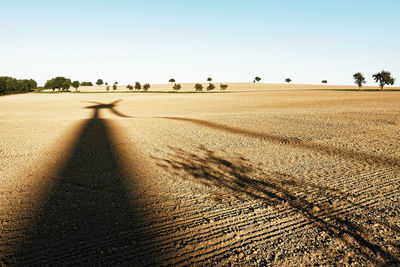 Scenic view of field against clear sky