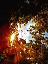 Low angle view of trees against sky