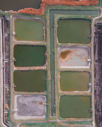 Fishpond aerial view 