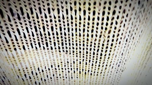 Full frame shot of tiled floor