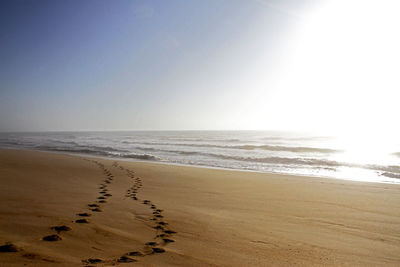 Scenic view of beach against clear sky