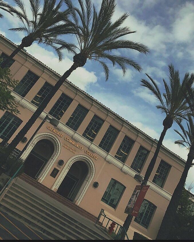 LOW ANGLE VIEW OF PALM TREE AGAINST SKY IN CITY