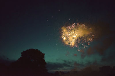 Low angle view of firework display at night