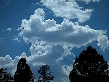 Low angle view of silhouette trees against blue sky