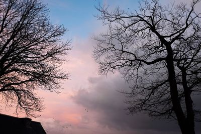 Low angle view of bare tree against cloudy sky