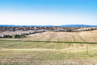 Scenic view of agricultural field against clear sky