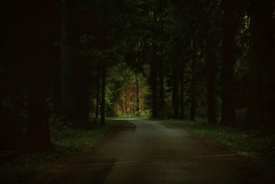 Empty road along trees