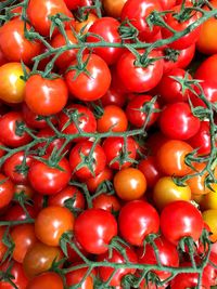 Full frame shot of tomatoes for sale in market