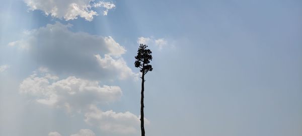 Low angle view of silhouette street light against sky